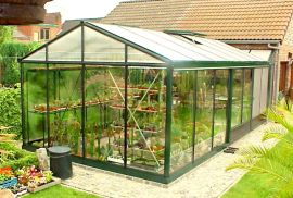Euro-Serre Tuinkas Euro Tropic Maxi – 310 x 608cm