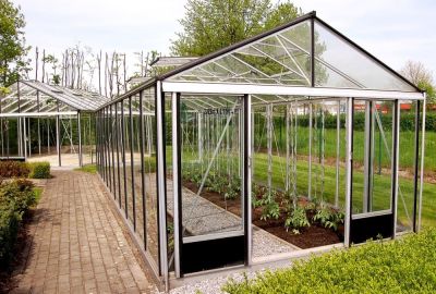 Euro-Serre Tuinkas Euro Maxi – 309 x 604 cm